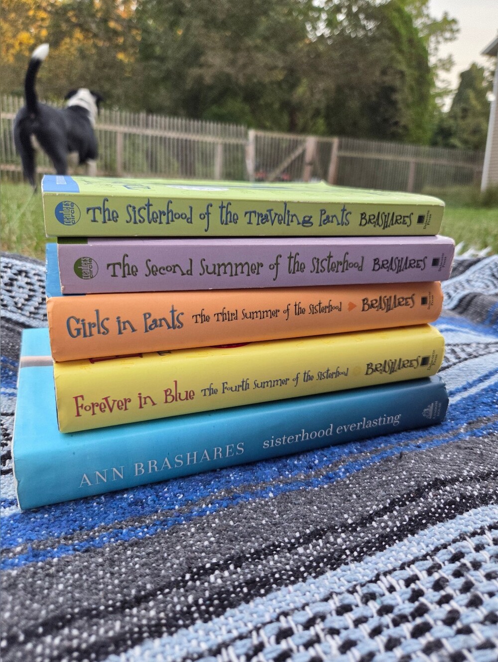 The Sisterhood Of The Traveling Pants || FULL SERIES || By Ann Brashares
